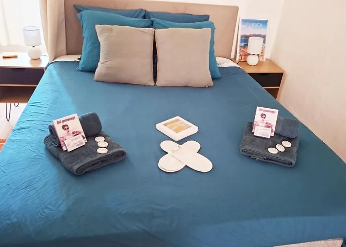 Apartman **** Very 36 Rue Fesch, Cosy Flat In Center Pedestrian Street, Up To 4 People ****