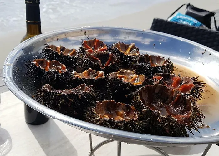 Cosy Fesch Street Apartment: Hideaway * Ajaccio (Corsica)